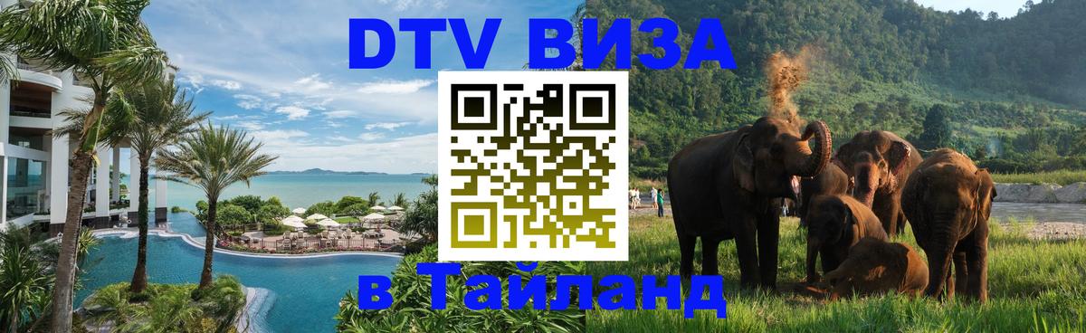 Цены на DTV визу в Таиланд — пакеты услуг, достаточно даже паспорта - Бийск 